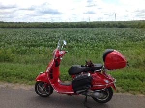 windmill farm east of Massena
