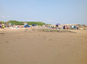 looking back toward Todd's Point