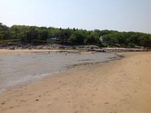 looking behind the beach into the "river" lagoon