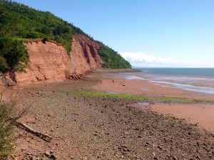 beach view