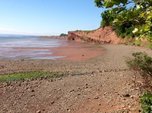 on the beach at Cape Blomidon