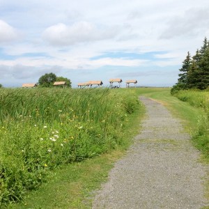 the path to Rushton's Beach