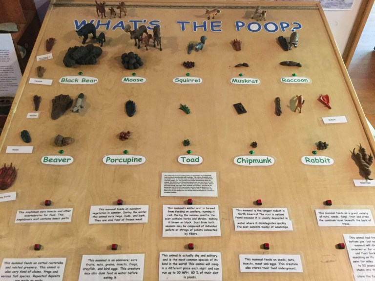 B5586575-371F-4B6B-82B7-1D63214D4DFC