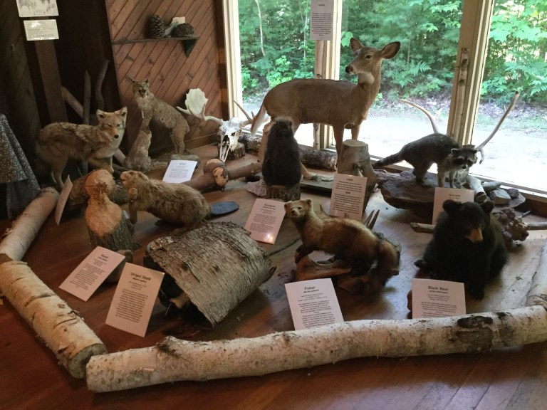 EB8CD5B6-95C1-468A-93E0-2E64472059C6