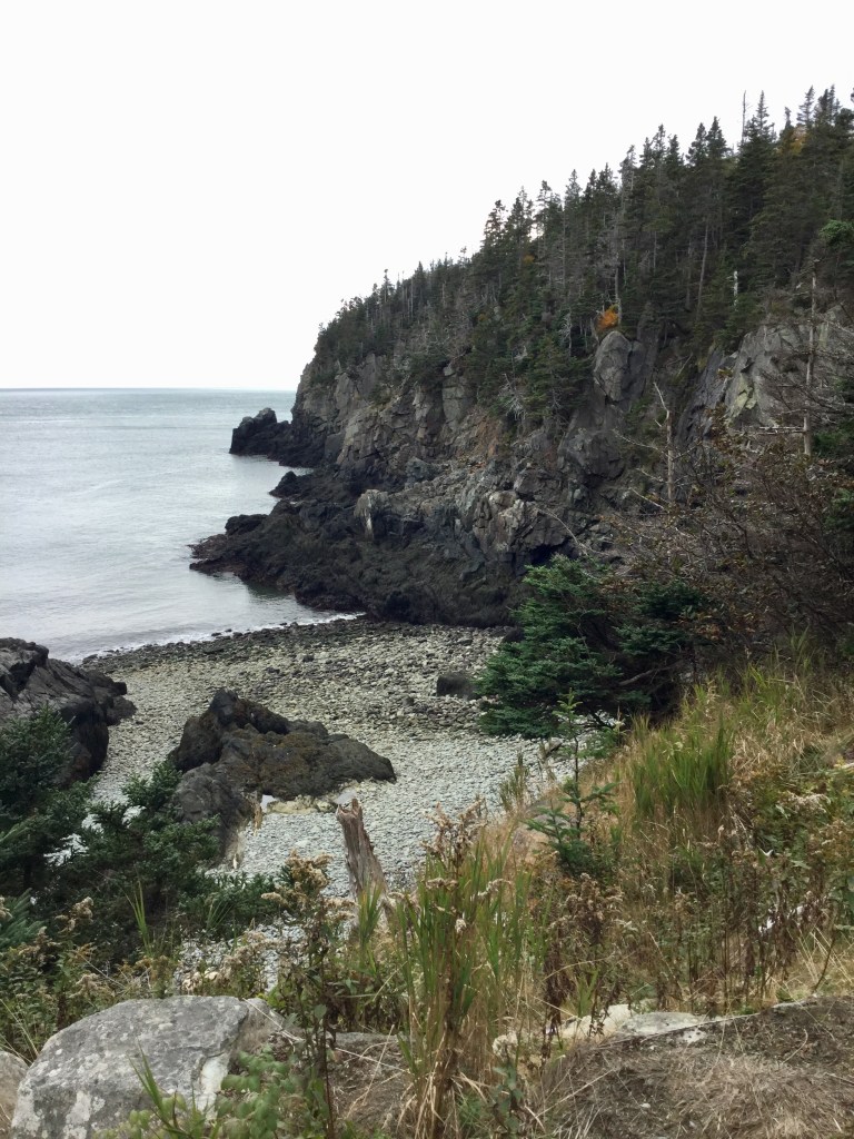 49564CB4-4602-42E8-87B8-E94B28FE0134