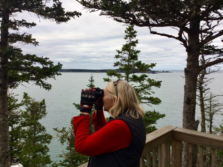 A66F188D-228C-4F77-AAF9-0F649F85264C