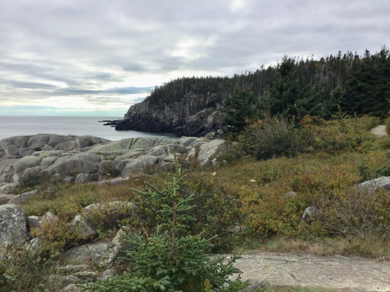 DFFC8054-B361-45C2-861A-BCDDA4F664B1