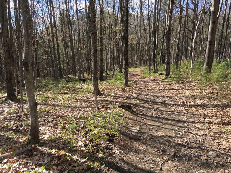 36EDEDE2-B4F6-4EAE-870A-23D94573E7F4