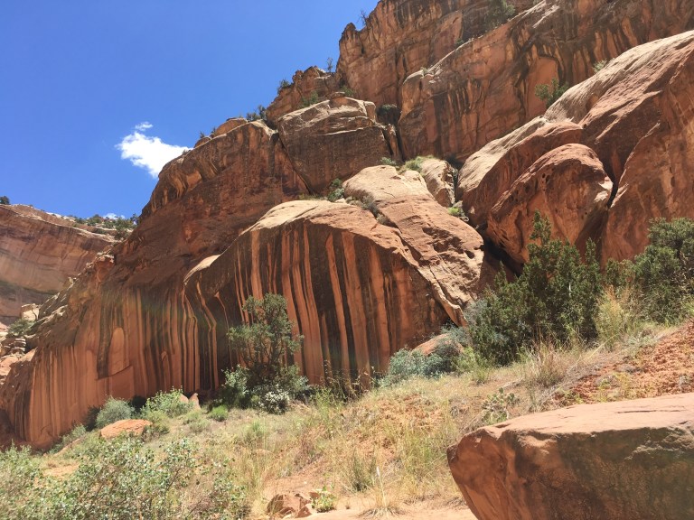 073D7E12-7854-4C9D-8989-6181DD37DC21