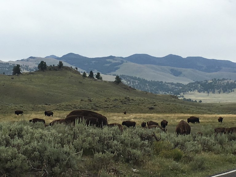 090AEAC8-F3A0-494A-946E-FBDBDFB14A68