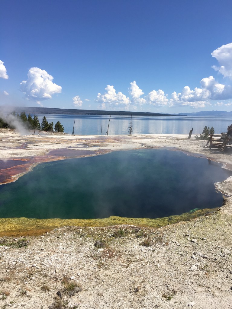 29486F7E-EB85-499F-A602-497BED3ED60F