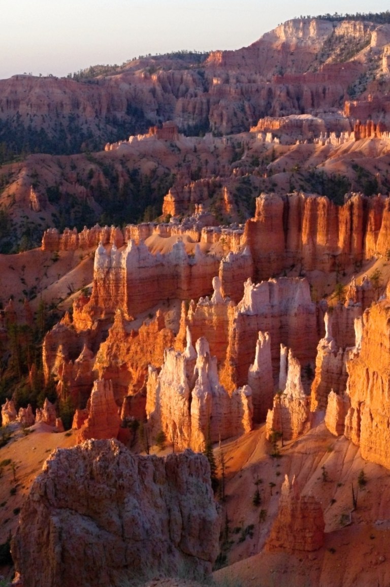 AD70C52D-7E53-46A7-8118-815E0A70843F