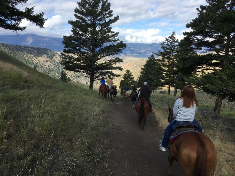 BDF05E69-7D31-4EF6-8439-5FB202E36C0F