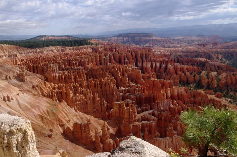 D6597758-E111-4ADD-8274-2011A3AEBBCC