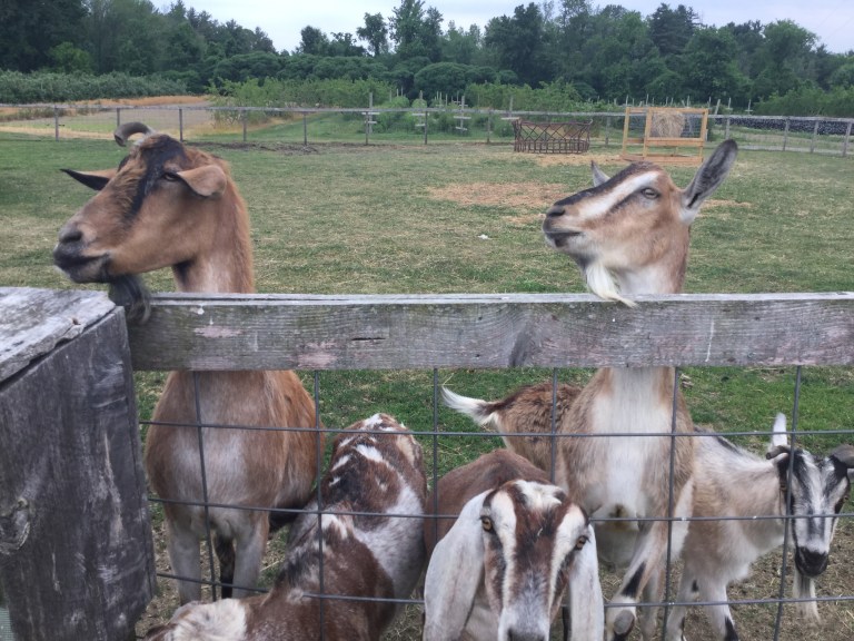 323AE586-13DD-4670-A570-555BB020C76F