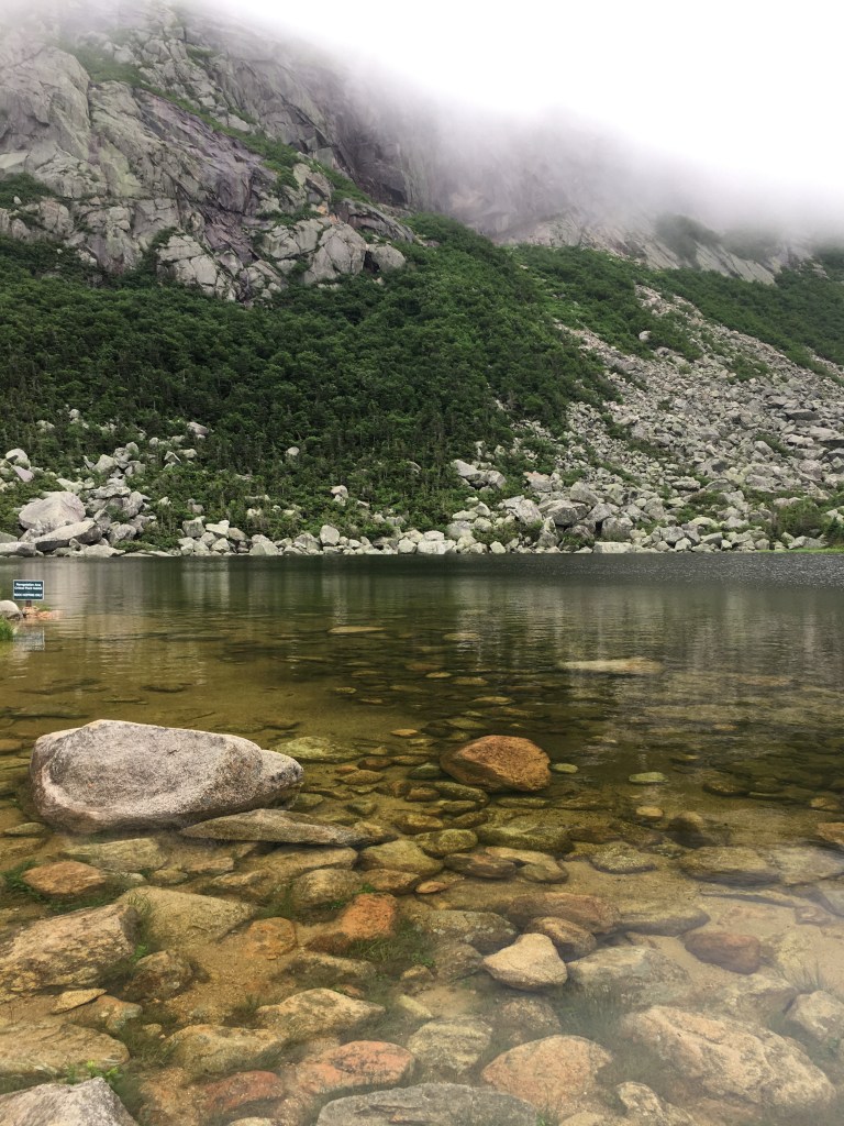 EBB0B5CF-3C22-4561-95AF-8EA86C297B39