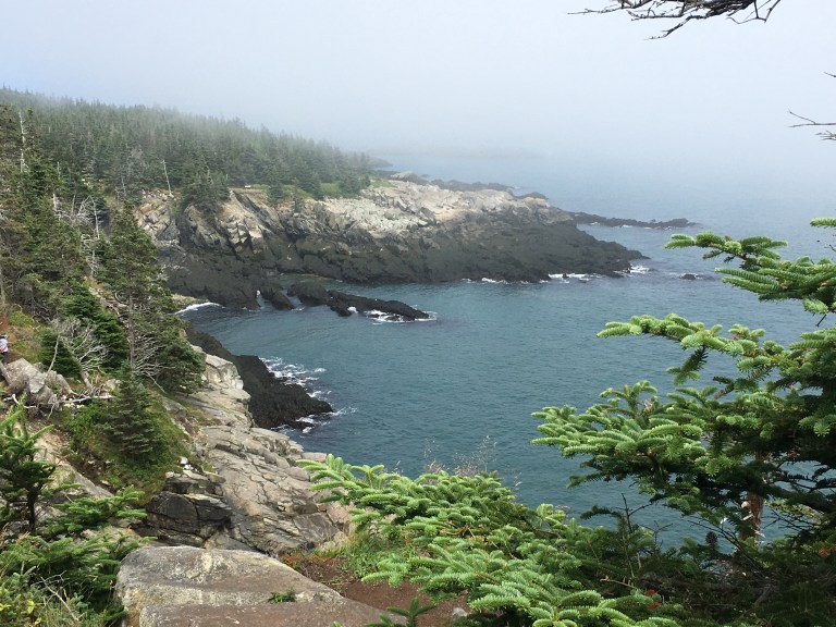 44A8F2E2-8C02-4BF6-A4C9-EB763E869520