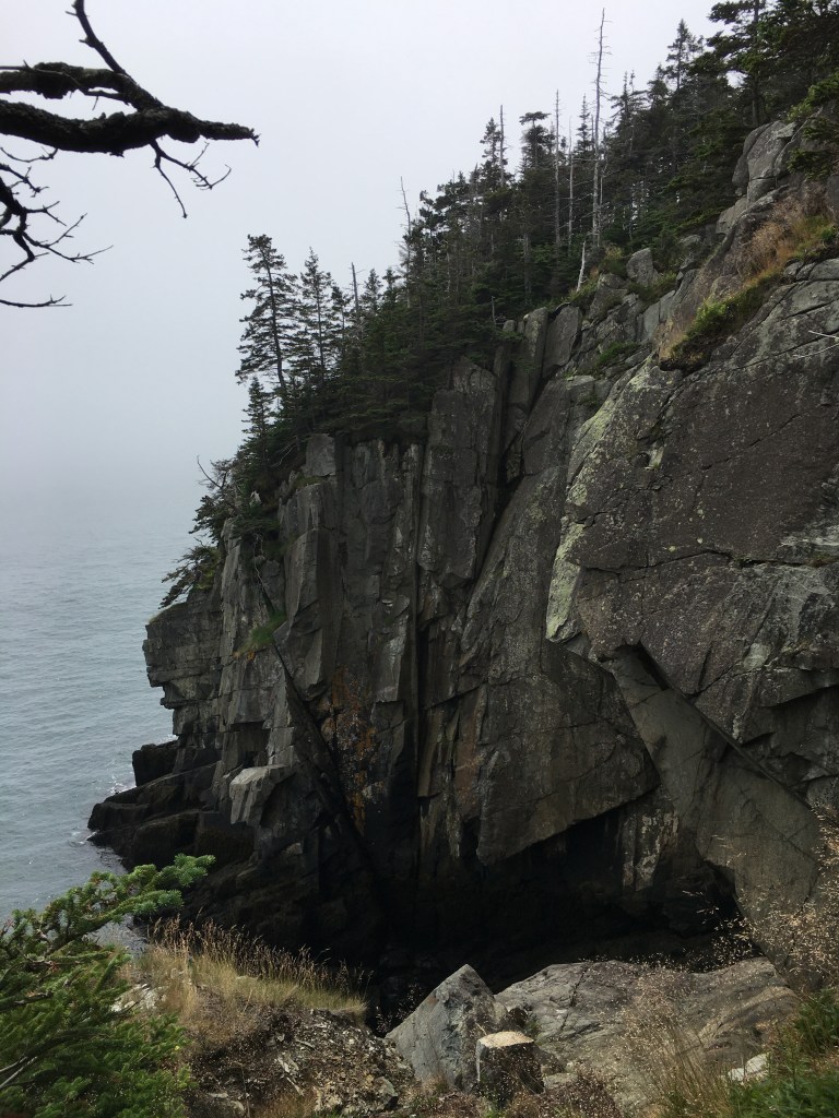 EFA7BA3F-7CB4-4851-A318-37D993815CF1